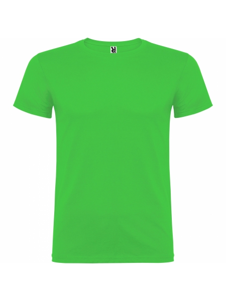 t-shirt-beagle-colorata-verde oasis.jpg